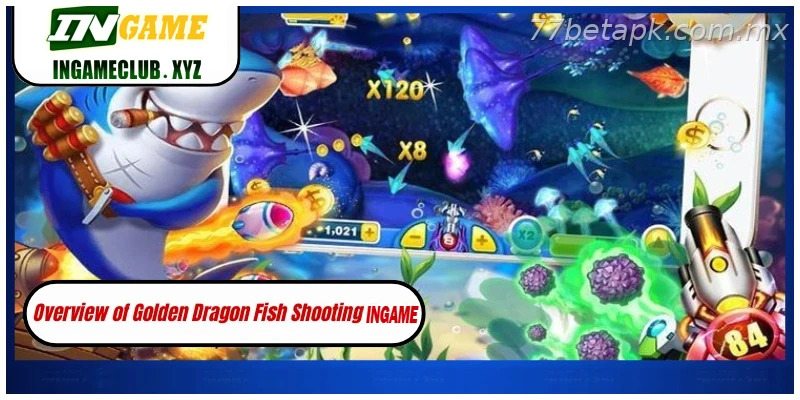 Overview of Golden Dragon Fish Shooting 77BET