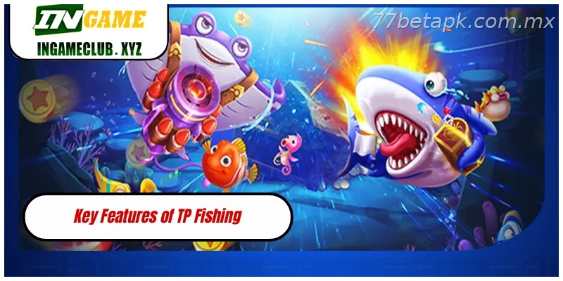 Key Features of TP Fishing